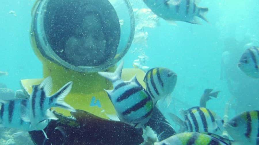 Bali: Sea Walk, Solo Jetski and Parasailing with Pickup - Solo Jetski: Controlled Chaos on Your Own Ride