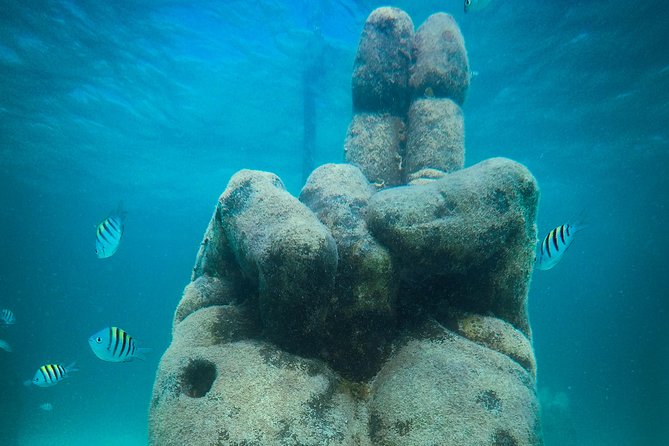 Cancun Adventure: Reef Snorkeling & Parasailing Experience - Parasailing Over the Caribbean and Isla Mujeres: What the Flight Really Gives