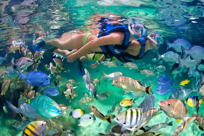 Catamaran Cruise with Snorkeling & Parasailing - Snorkeling With Equipment Included: Easy Setup, Guided Comfort