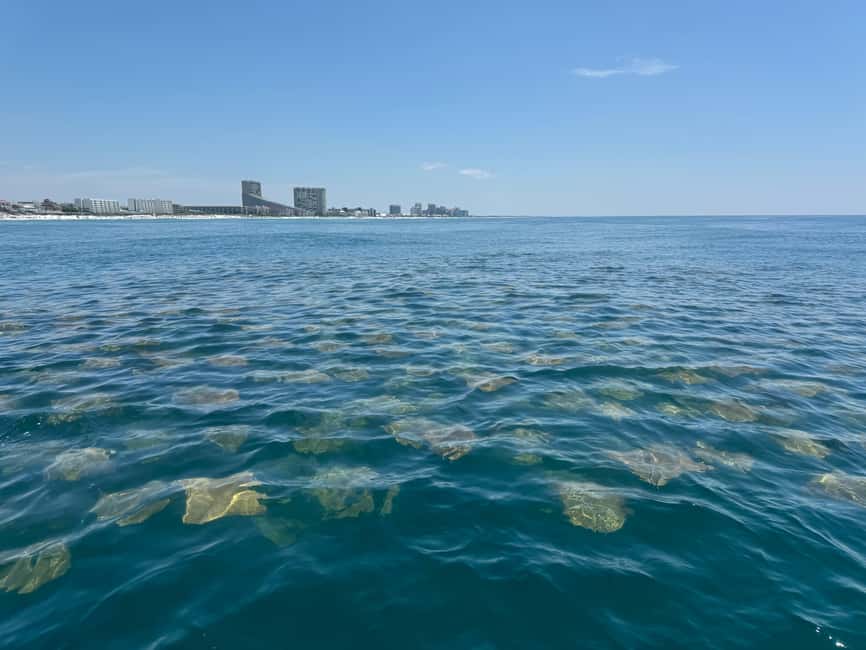 Fort Lauderdale: Parasailing on Fort Lauderdale Beach - What the 90 Minutes Actually Feels Like (and Where the 10-Minute Flight Fits)