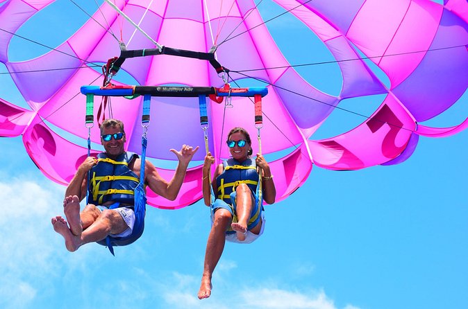 High Life Parasail - Wildlife Odds: Dolphins, Sea Turtles, and More