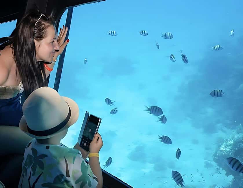 Hurghada: Glass Boat & Snorkeling with Optional Parasailing - Key things I’d watch for on this trip