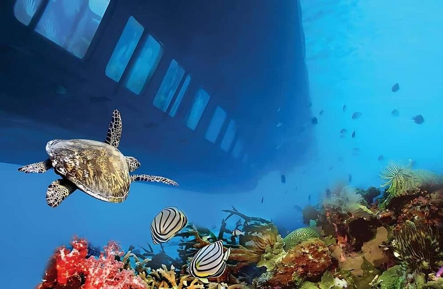 Hurghada: Glass Boat & Snorkeling with Optional Parasailing - Hurghada Marina, speedboat ride, and where the best photos happen