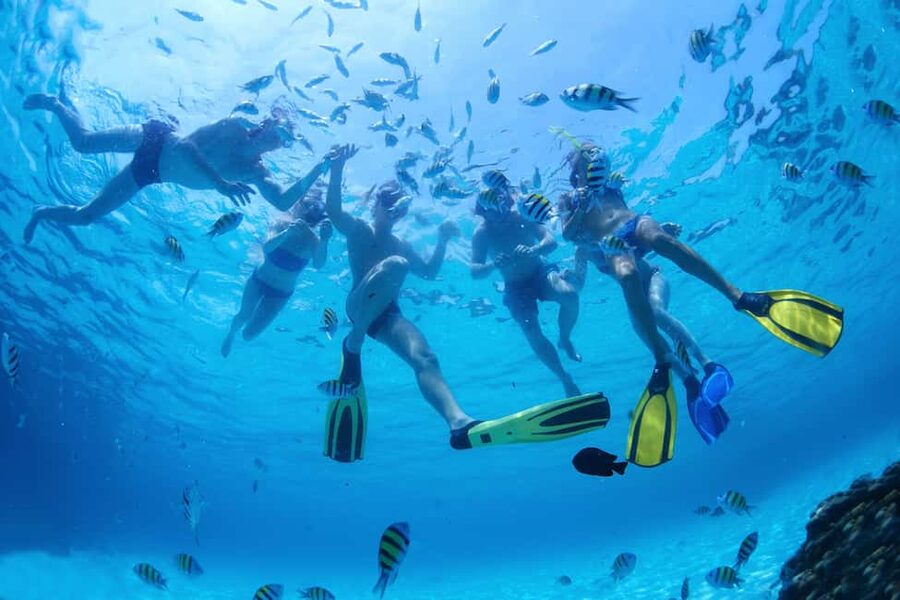 Nassau: Jet Ski Ride, Parasailing & Banana Boat Tour - Getting from your hotel or the cruise port to Cabbage Beach fast
