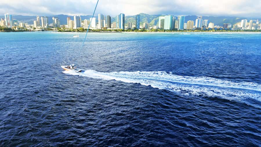Oahu: Waikiki Parasailing - The boat ride before you fly: where you can spot wildlife