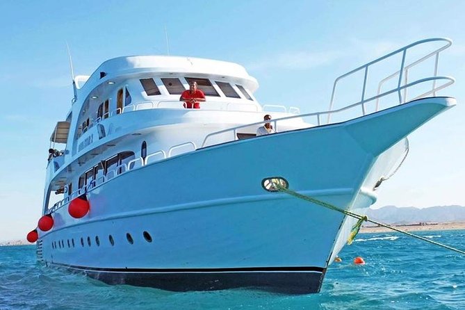 Orange bay Island and Parasailing, Snorkeling, & Water Sports, Lunch - Hurghada - Guided snorkeling stops: gear, support, and what to expect