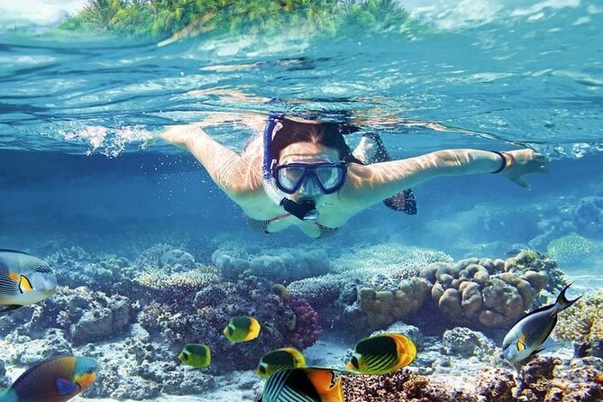 Orange Bay Island Snorkeling Trip with Parasailing - Hurghada - Orange Bay Island: why it’s called the Maldives of Egypt