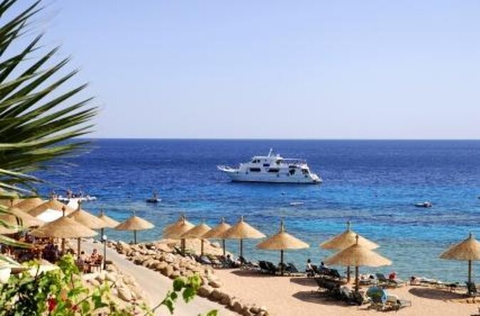 Parasailing Adventure On Marine Try Fly - Sharm El Sheikh - Key things to know before you go