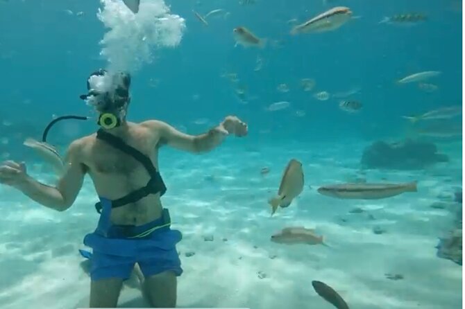 Punta Cana Party Cruise with Snorkeling, Hooka Diving and Parasailing - The 4-hour Punta Cana party cruise: fun, not complicated