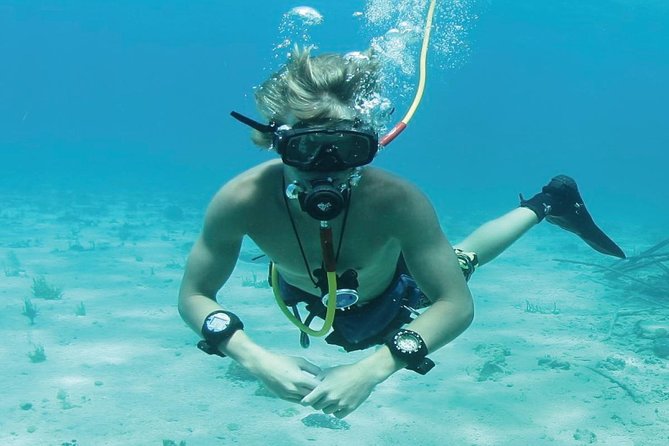 Punta Cana Party Cruise with Snorkeling, Hooka Diving and Parasailing - Reef time with snorkeling gear: what you’ll see and what to watch for