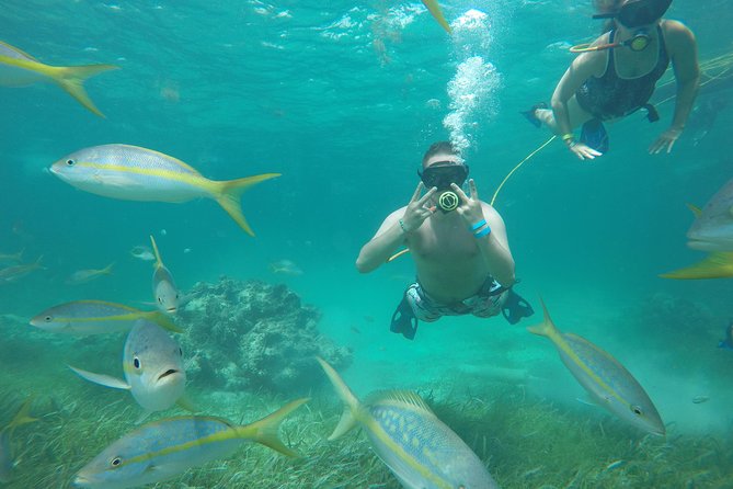 Punta Cana Party Cruise with Snorkeling, Hooka Diving and Parasailing - Hooka gear experience: friendly for beginners, but plan for learning curve