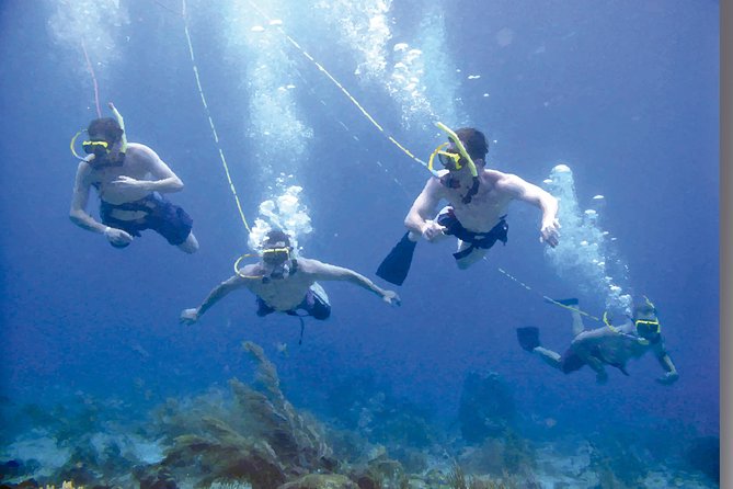 Punta Cana Party Cruise with Snorkeling, Hooka Diving and Parasailing - Value check: does $140 feel fair for three activities?