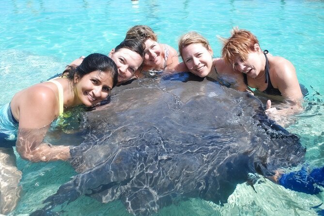 Sharks & Stingrays Snorkeling in Punta Cana with Parasailing - Key highlights to know before you go