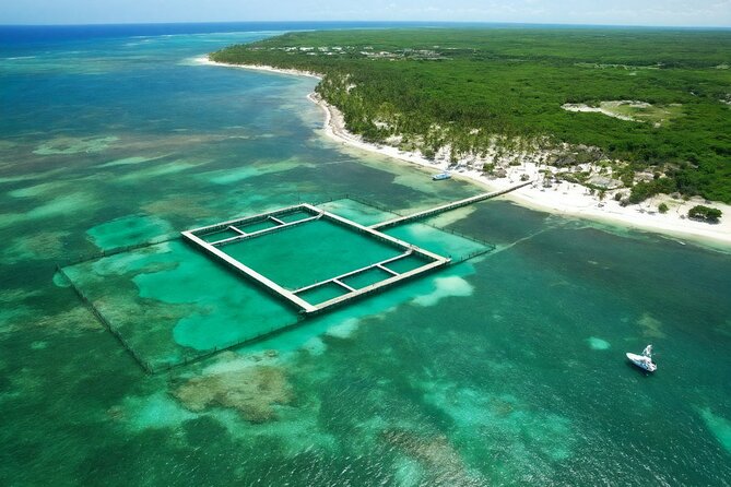 Sharks & Stingrays Snorkeling in Punta Cana with Parasailing - Parasailing in Punta Cana: the thrill, the limits, and the wind check