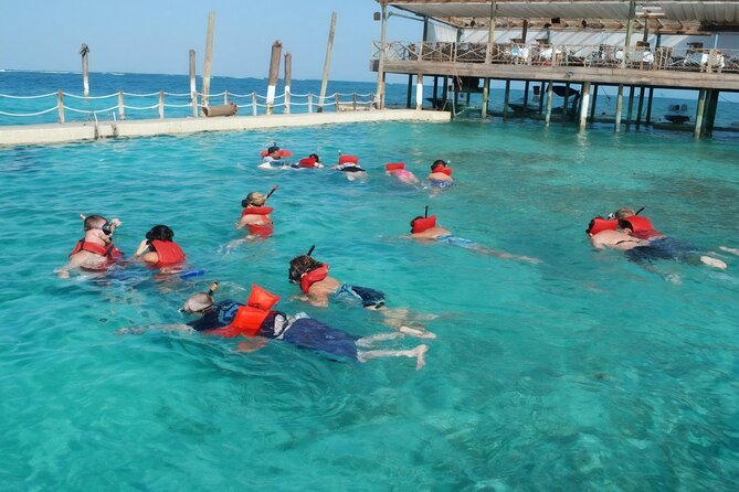 Sharks & Stingrays Snorkeling in Punta Cana with Parasailing - Group size, timing, and the reality of weather