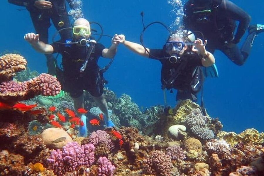 Sharm El-Sheikh: Parasailing, Camel Ride, Dive & Quad Bike - Hotel pickup in Sharm El-Sheikh: how the day usually feels