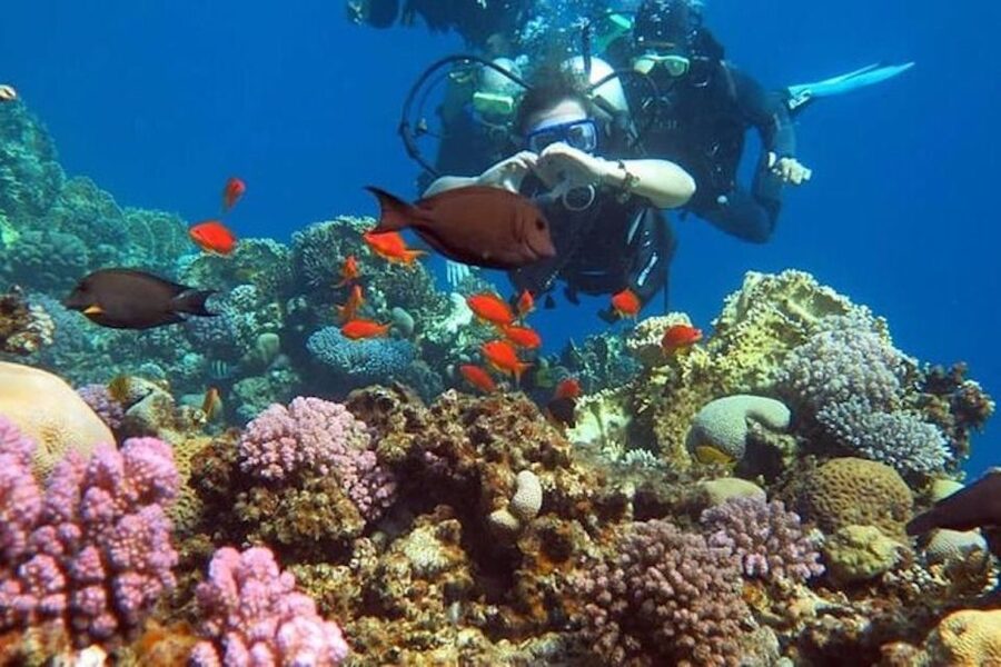 Sharm El-Sheikh: Parasailing, Camel Ride, Dive & Quad Bike - What to bring (and what to leave behind)